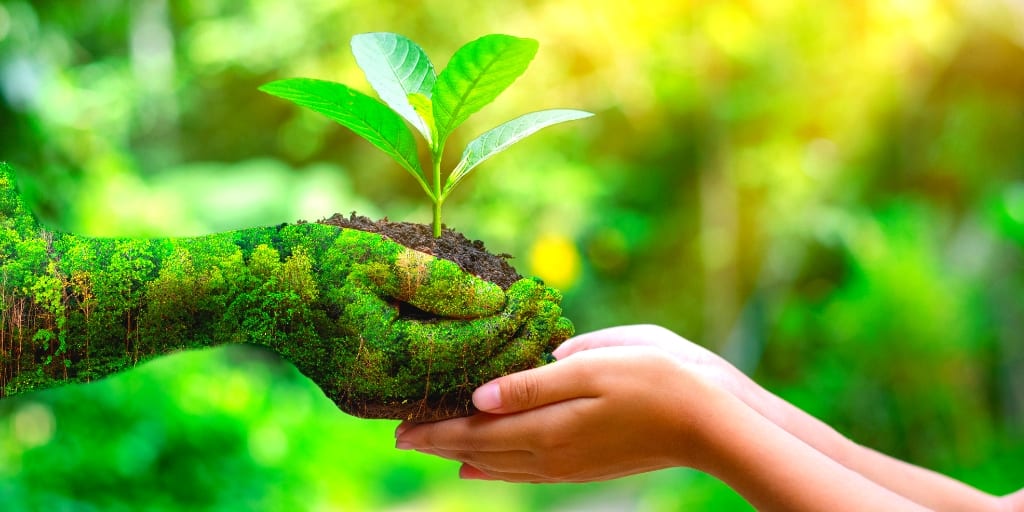The Benefits of Eco-Conscious Marketing for Brands